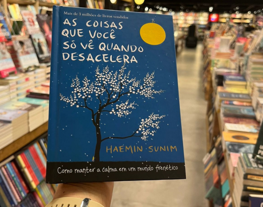 capa do livro As coisas que você só vê quando desacelera