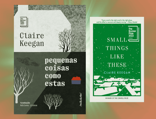 capa do livro pequenas coisas como esta