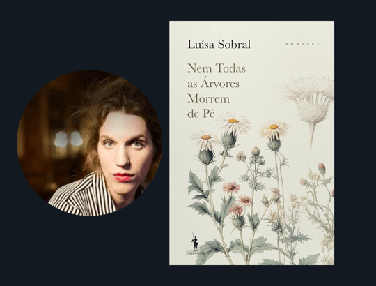 livro Nem Todas as Árvores Morrem de Pé (1)