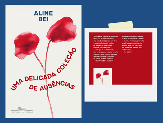 capa do livro Uma delicada coleção de ausências de Aline Bei